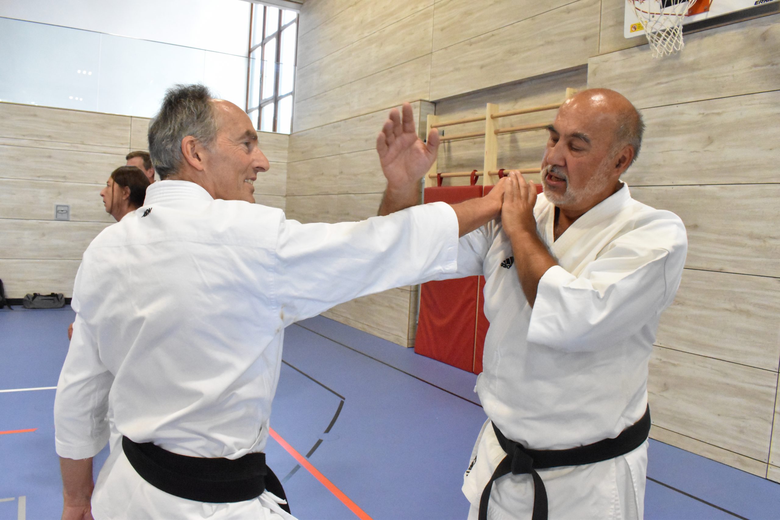 Josef Pflaum – Ein Karate-Pionier mit Herz für den Sport erhält Ehrenmedaille