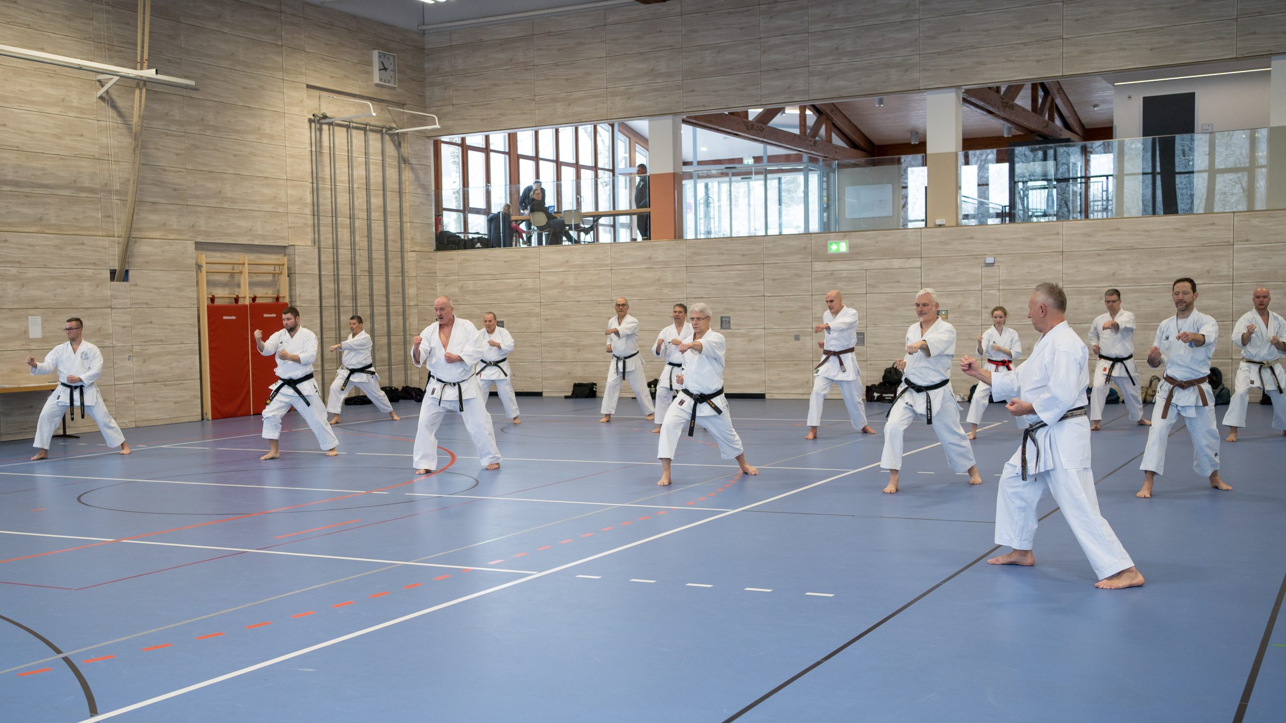 Vohenstrauß als Treffpunkt der Karate-Elite