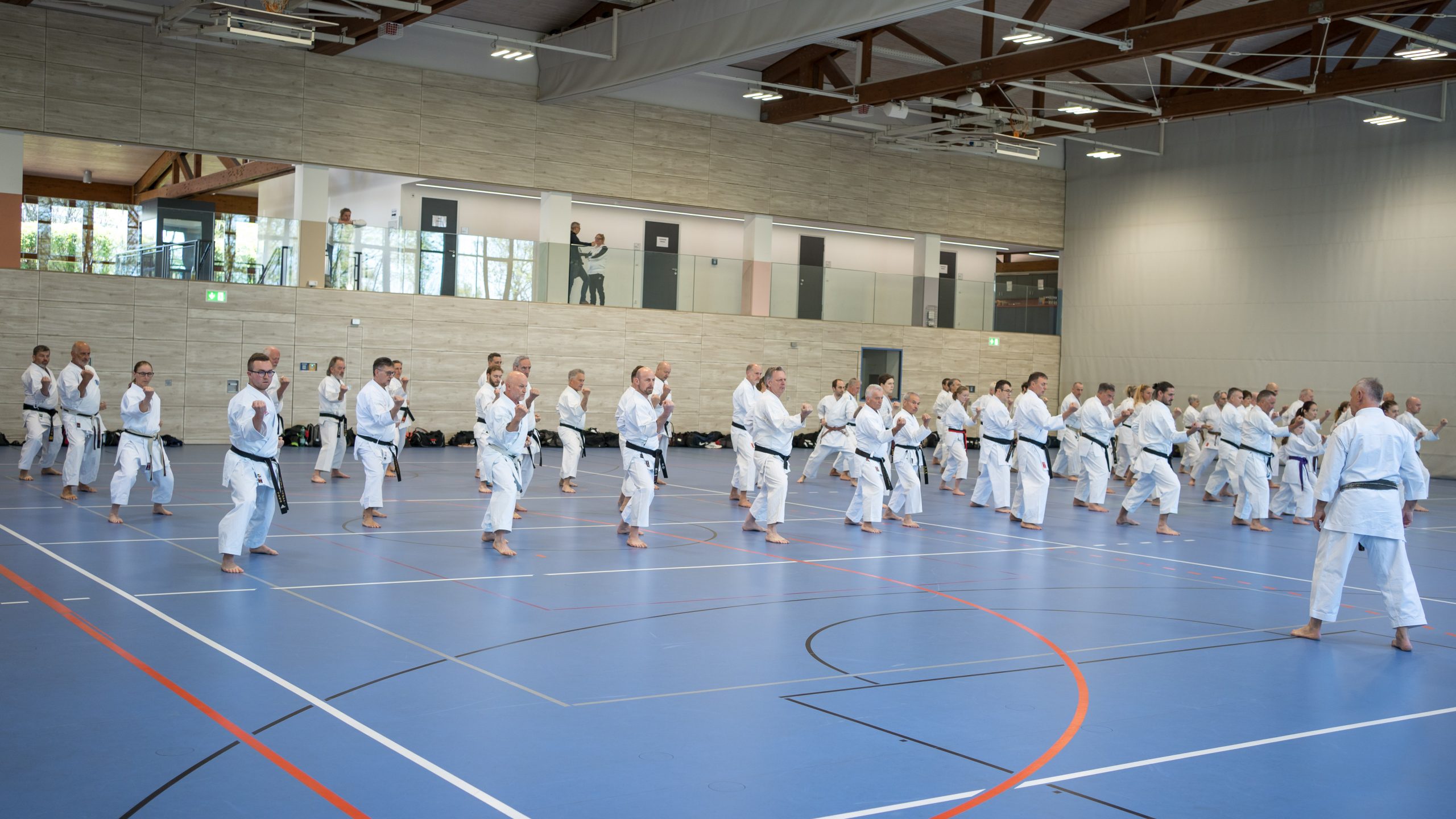 Ziel im Blick: Karateka bereiten sich in Vohenstrauß auf Meisterprüfungen vor